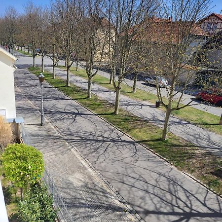 Alleeblick Ballenstedt Bagian luar foto