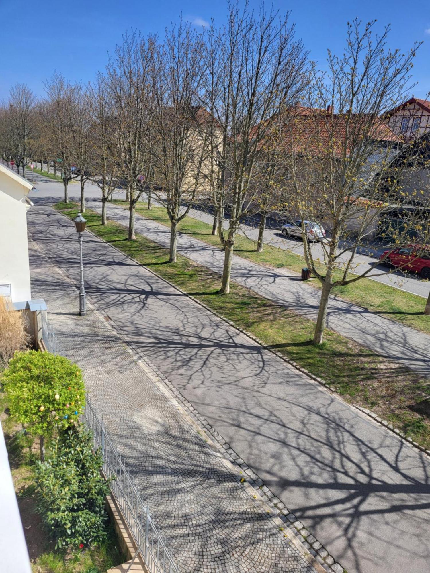 Alleeblick Ballenstedt Bagian luar foto